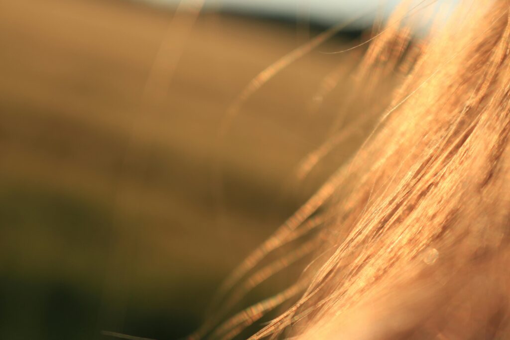 Japanese hair growth supplements for daily use supporting hair thickness and scalp health