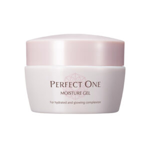 Shin Nihon Health PERFECT ONE All-in-One Gel Moisture Gel, 75 g